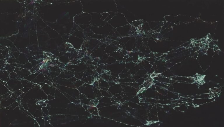 Digitalisation de la supply chain : gains concrets et mesurables